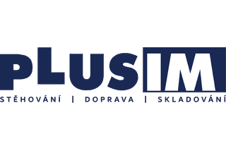 PLUSIM  logo