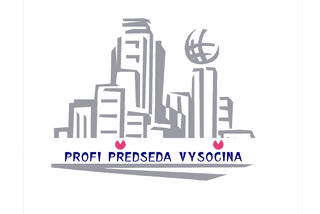  PVSO - profesionální výkon statutárního orgánu logo