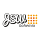 Logo JSW Bohemia s.r.o.